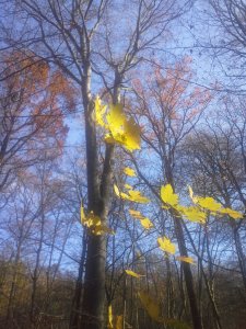 01 sárga szösszenet