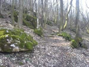 18 Gerecse oldalában