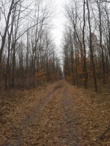 20160131_113935