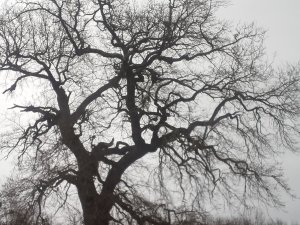 20160131_132749