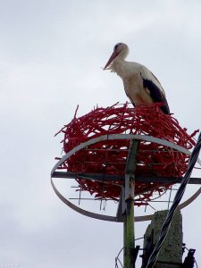 11889674_c32ea620aea9e6a701f202c53f266db7_wm